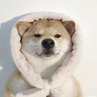 幸运青山tYg头像