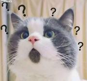 甜甜的豆沙包的个人资料头像