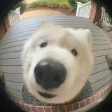 薛乎虚0头像