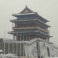21世纪德赛先生头像