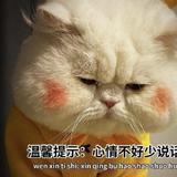 Aa媳妇儿o头像