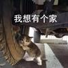 元气光束jN头像