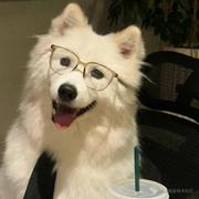 柔和的个人资料头像