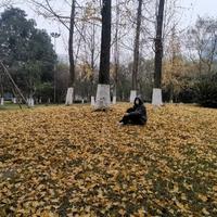 劳资蜀道山YL头像