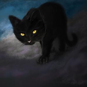 白夜与黑猫头像