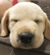 KuroP的个人资料头像