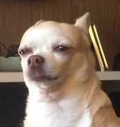 Hombio的个人资料头像