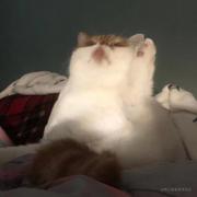 用户2261871239857的个人资料头像