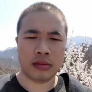 dongshangtong的个人资料头像