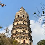 万能的喵的个人资料头像