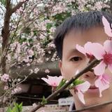 用户9379025225629头像