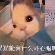 廾匸948的个人资料头像