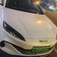 小十六的海豹06头像