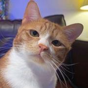 惨绿青年182的个人资料头像