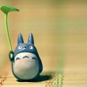刘小神的个人资料头像