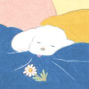 mallet的个人资料头像