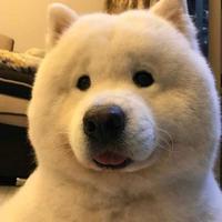 秋日下晚风头像