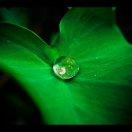 PrayerWheel的个人资料头像