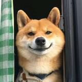 信天翁256头像