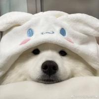 李志龙hh头像
