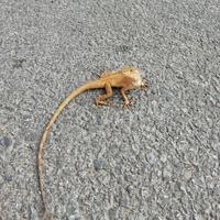 回归纯净97头像