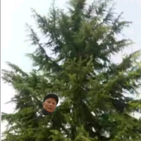 用户6403538183485头像