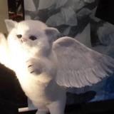 钟爱421头像