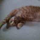 陈彬彬的个人资料头像