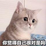 whisper6215头像