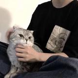 用户354555393272头像
