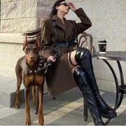 Cx339的个人资料头像