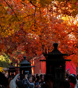 弹道偏左1997的个人资料头像