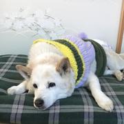 JoeyKo的个人资料头像