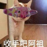 Bin6019头像