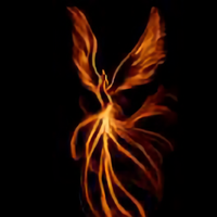 zhangdw114200041头像