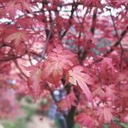 求索者87的个人资料头像