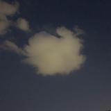 正大光明星星T9v头像