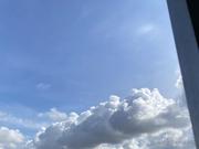 劳动人民1号的个人资料头像