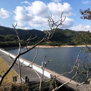 小广969的个人资料头像