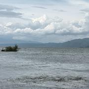 用户4207425854459的个人资料头像