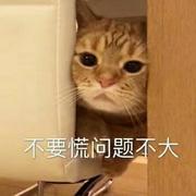 小黑测试员的个人资料头像