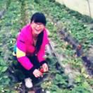 阳光毛毛泡泡的个人资料头像