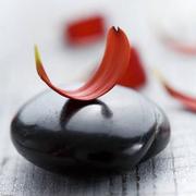 如此安好347的个人资料头像