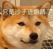 蛤蜊炒番茄的个人资料头像