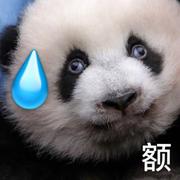 谭小白的个人资料头像