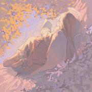 小狗躲猫猫的个人资料头像