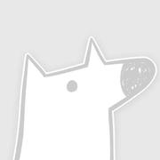 foolgry13544的个人资料头像
