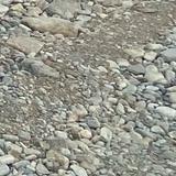 moto灬燃头像