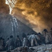 进击的南方仔的个人资料头像