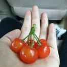 瑾萱的个人资料头像